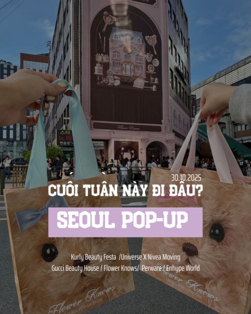 Tổng hợp Pop-up nên đi cuối tháng 10