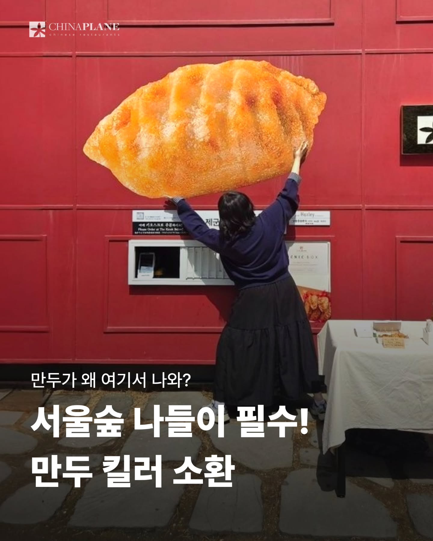 Chinaplane: Dã Ngoại Bánh Bao Đặc Biệt Tại Rừng Seoul