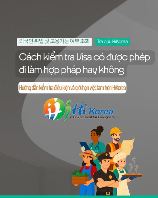 Cách kiểm tra Visa có được phép đi làm hợp pháp tại Hàn Quốc qua HiKorea