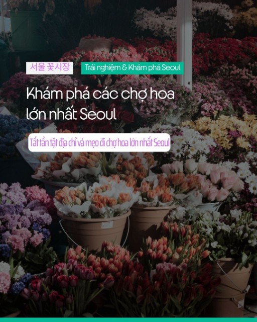Khám phá các chợ hoa lớn nhất Seoul: Điểm đến lý tưởng cho người yêu hoa