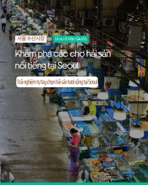 🐟 Khám phá các chợ hải sản nổi tiếng tại Seoul