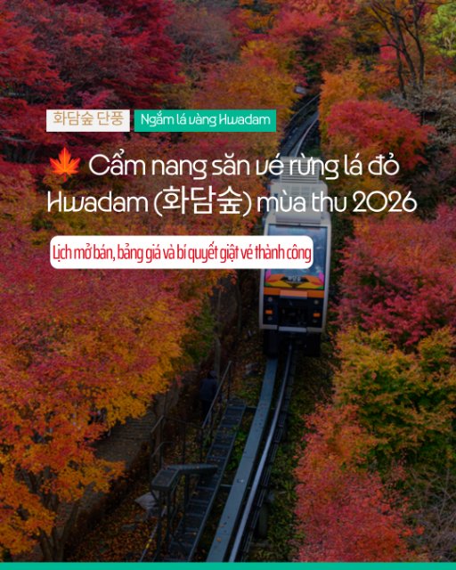 🍁 Cẩm nang săn vé rừng lá đỏ Hwadam (화담숲) mùa thu 2026
