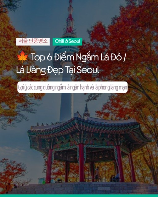🍁 Top 6 Điểm Ngắm Lá Đỏ / Lá Vàng Đẹp Tại Seoul