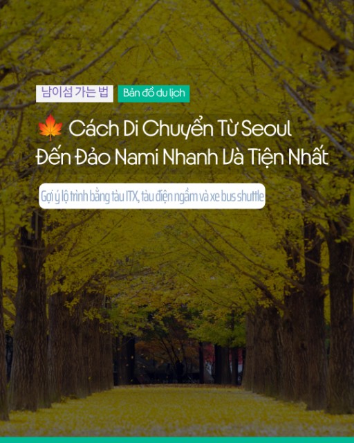 🍁 Cách Di Chuyển Từ Seoul Đến Đảo Nami Nhanh Và Tiện Nhất