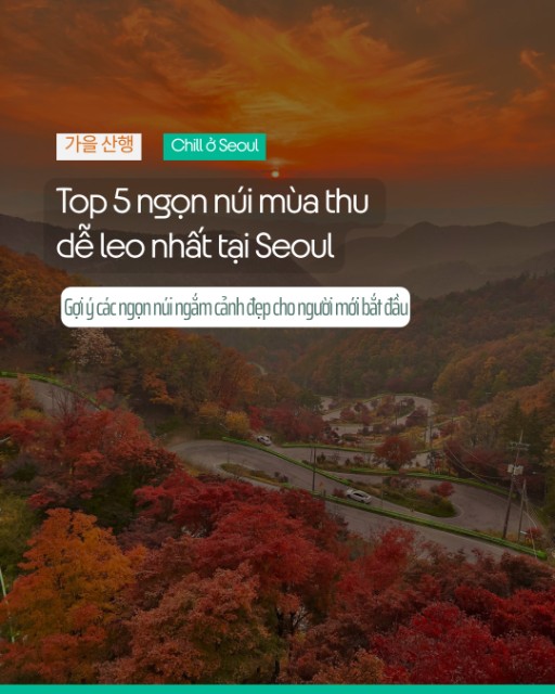 🍁 Top 5 Ngọn Núi Mùa Thu Dễ Leo Nhất Tại Seoul